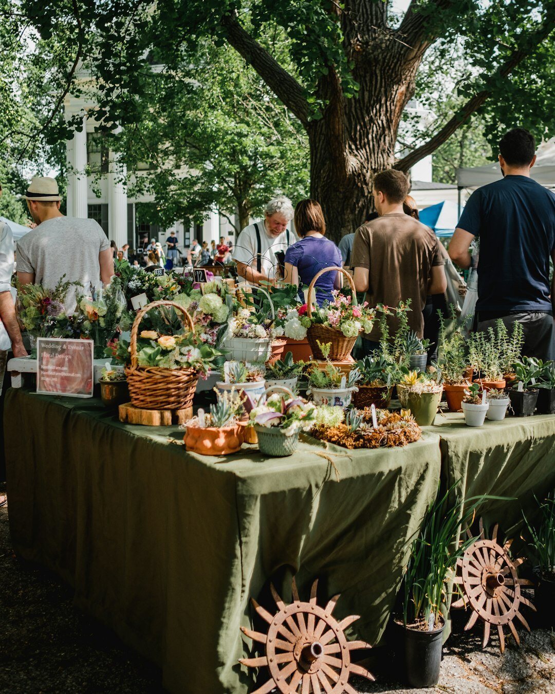 Vendors and shoppers at an outdoor green market in Split, Croatia