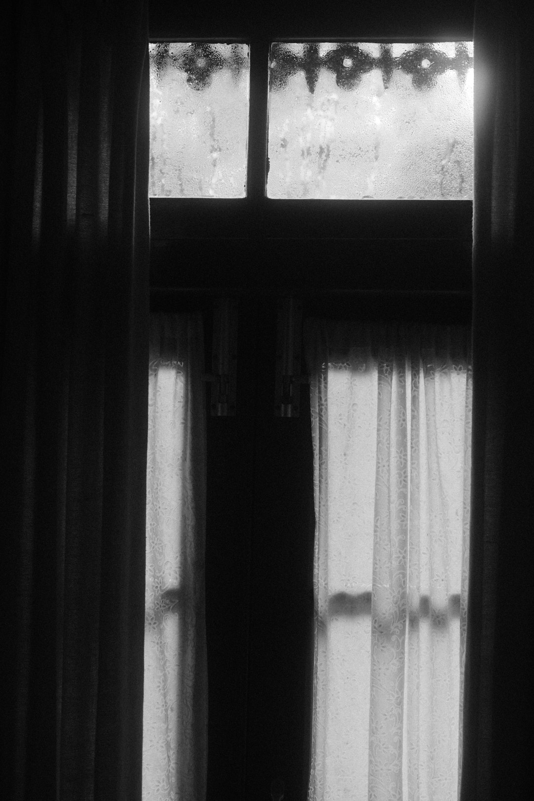 Black and white photographic prints hanging to dry in a darkroom